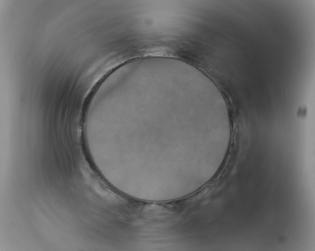 X0000113230290200910011416