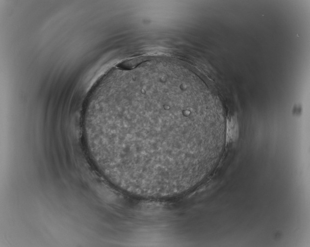 X0000113230291200910011416