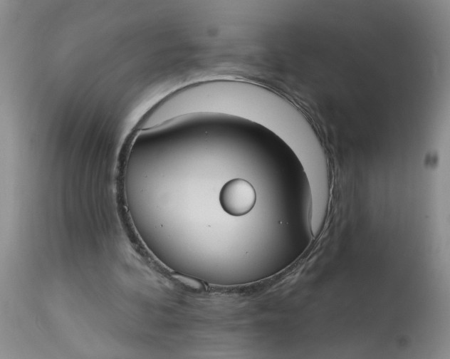 X0000113230292200910011416