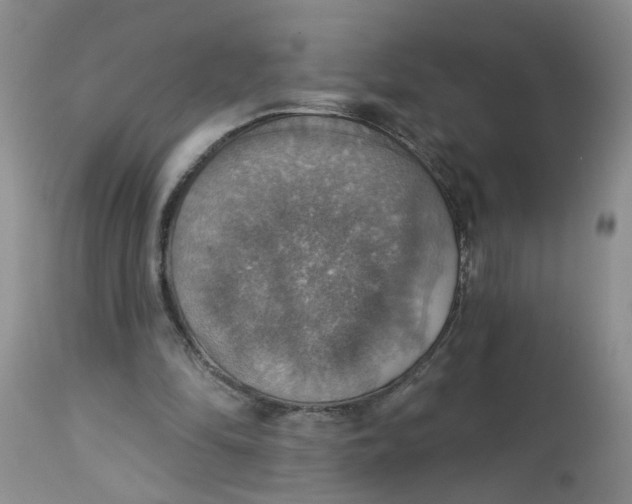 X0000113230294200910011416