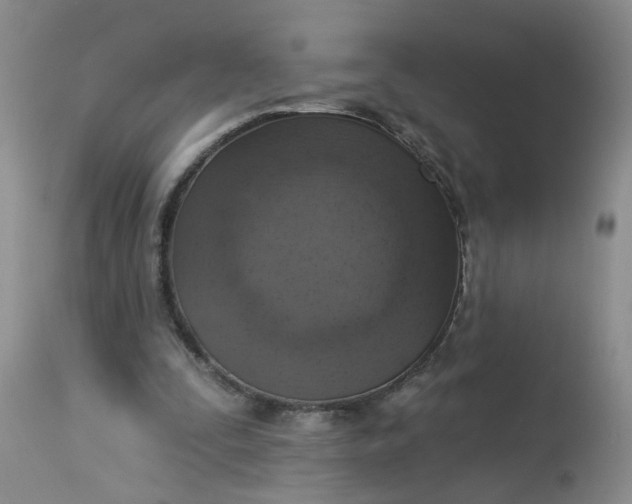 X0000113230295200910011416