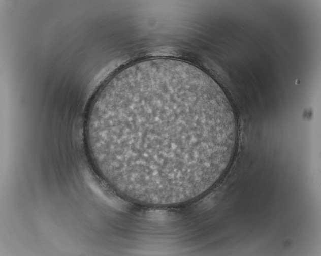 X0000113230298200910011416