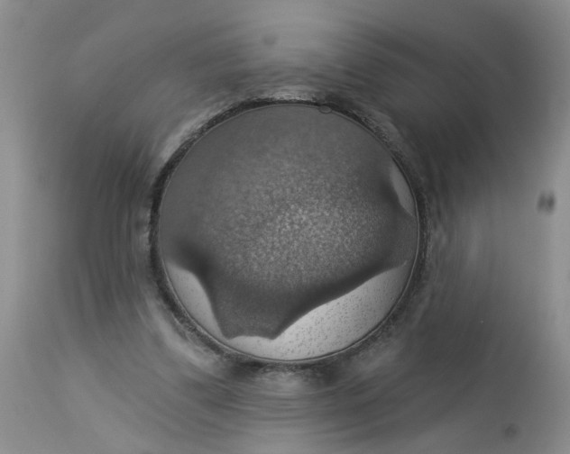 X0000113230299200910011416