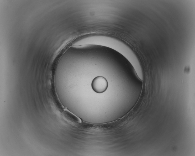 X0000113230300200910011416