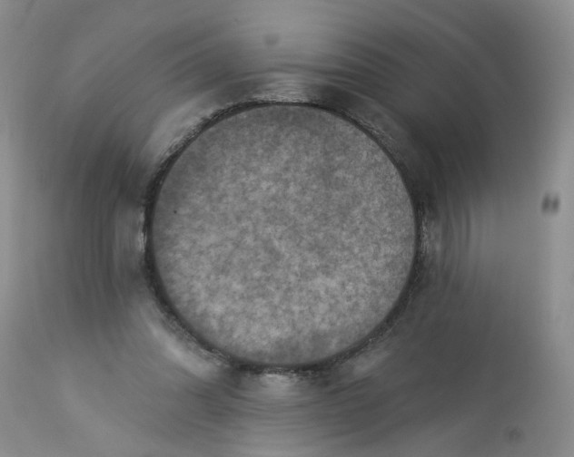 X0000113230302200910011416