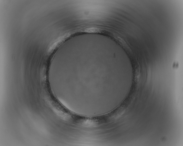 X0000113230303200910011416