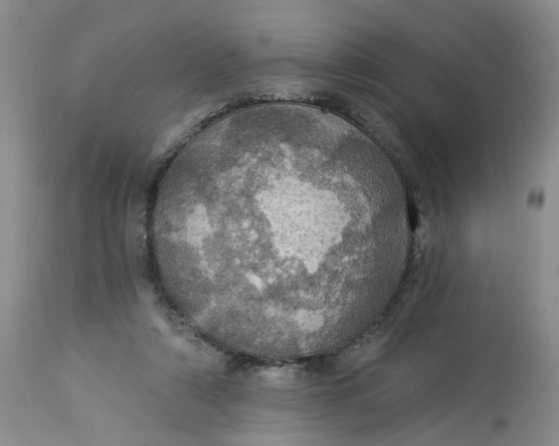 X0000113230306200910011416