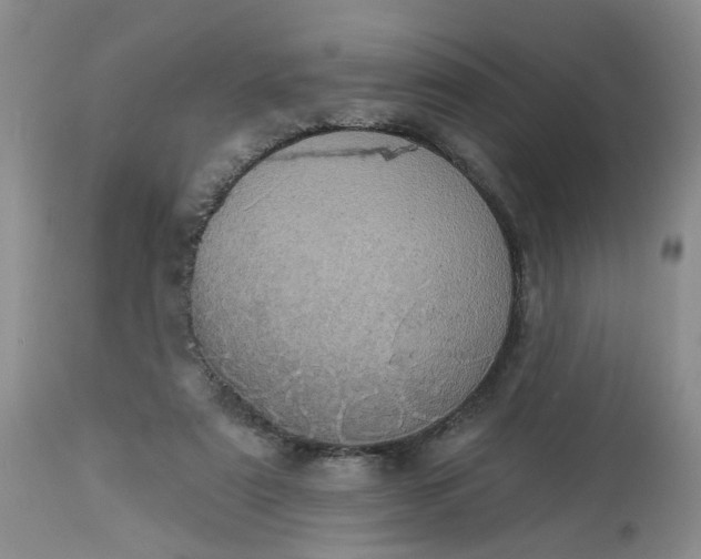 X0000113230307200910011416