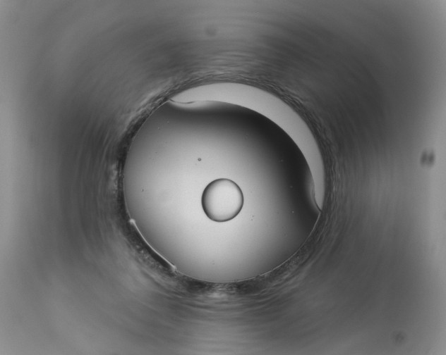 X0000113230308200910011416