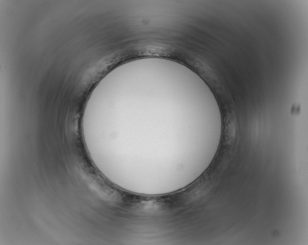 X0000113230310200910011416