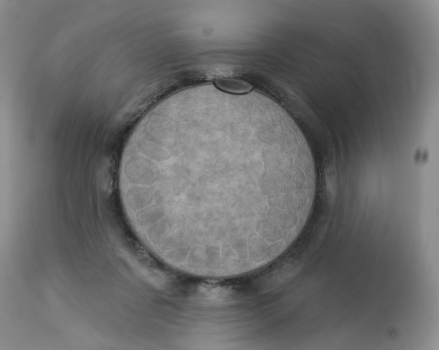 X0000113230311200910011416