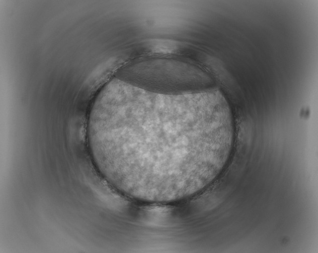 X0000113230313200910011415