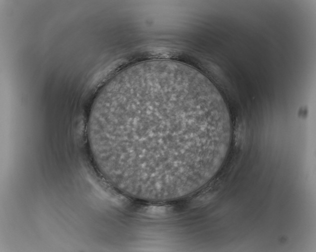 X0000113230314200910011415