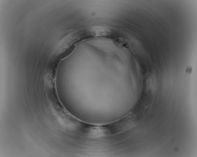 X0000113230316200910011415