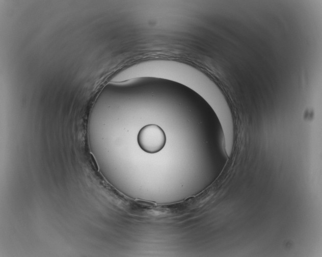 X0000113230317200910011415