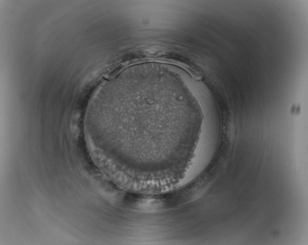 X0000113230319200910011415