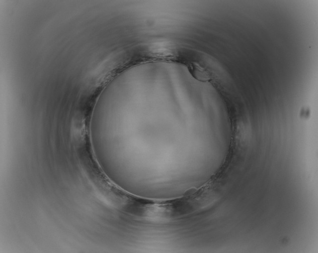 X0000113230320200910011415