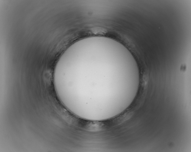 X0000113230321200910011415