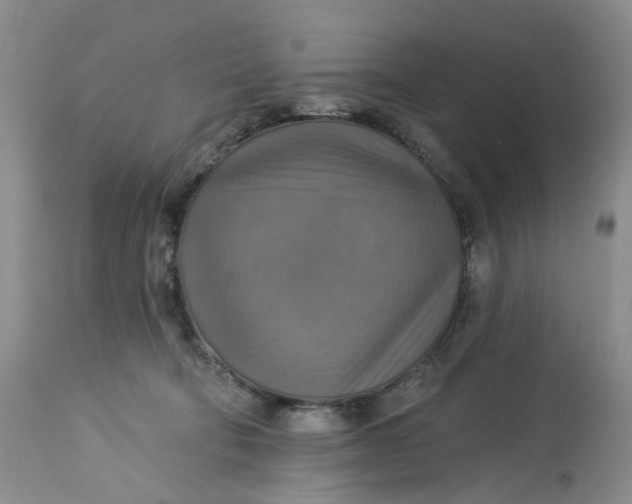 X0000113230322200910011415