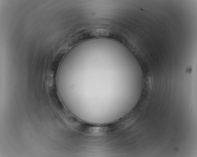 X0000113230323200910011415