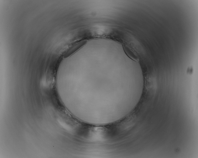 X0000113230324200910011415