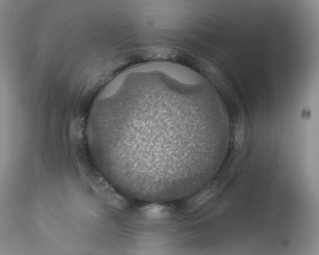 X0000113230326200910011415