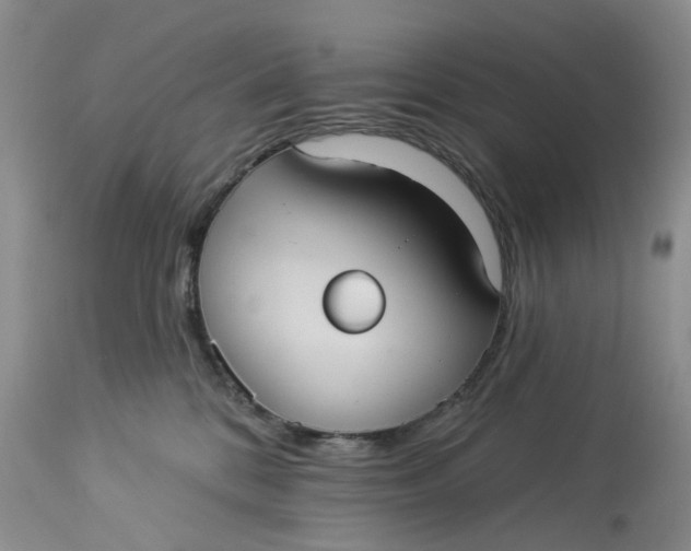 X0000113230328200910011415