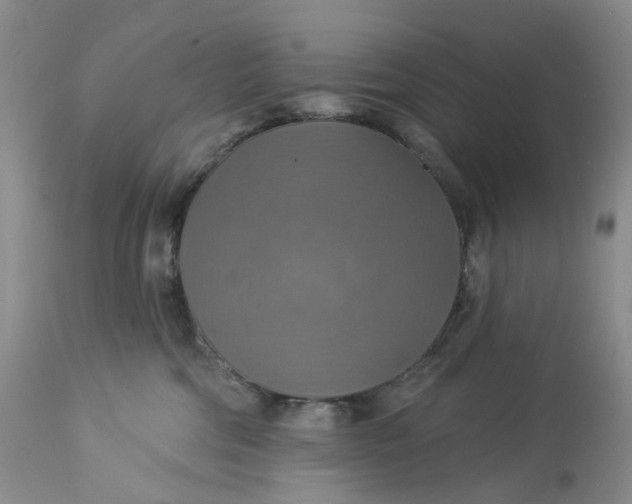 X0000113230330200910011415