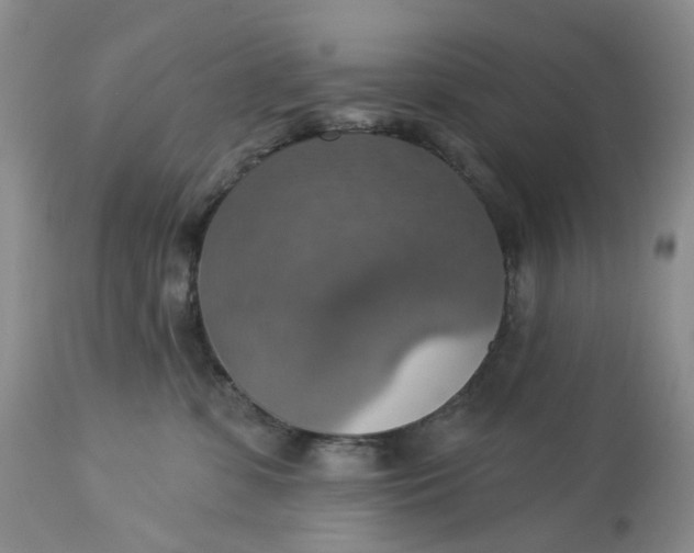 X0000113230331200910011415