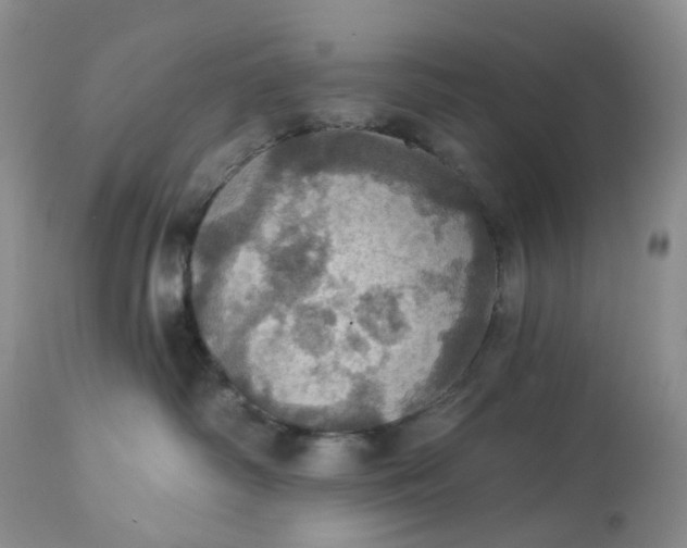 X0000113230334200910011415