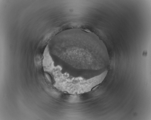 X0000113230335200910011415