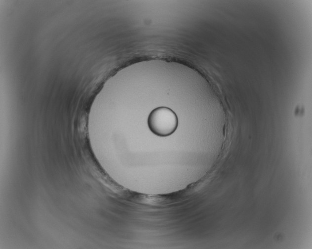 X0000113230336200910011415