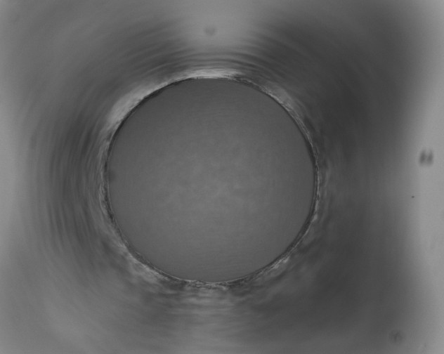 X0000113230337200910011415