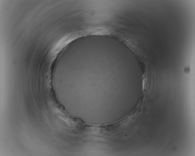 X0000113230339200910011415