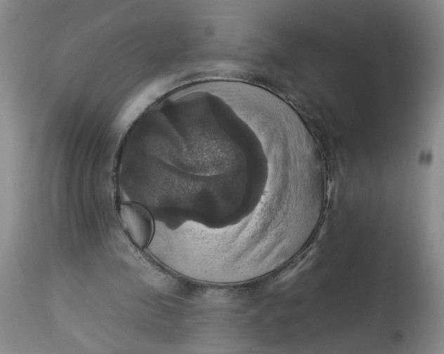 X0000113230341200910011415