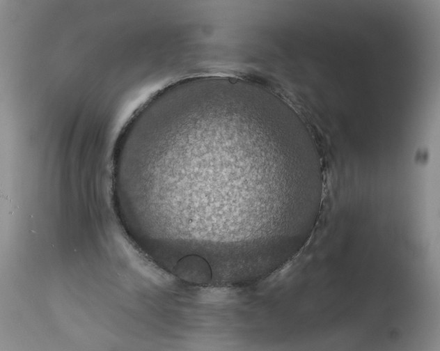 X0000113230342200910011415