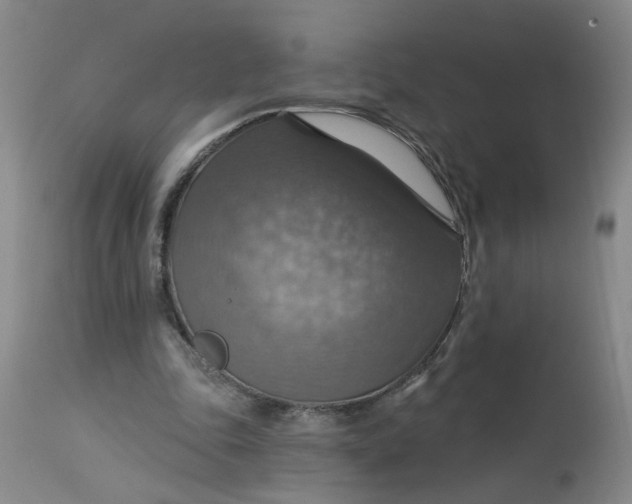 X0000113230343200910011415