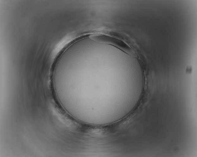 X0000113230344200910011415