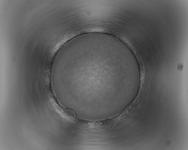 X0000113230345200910011415