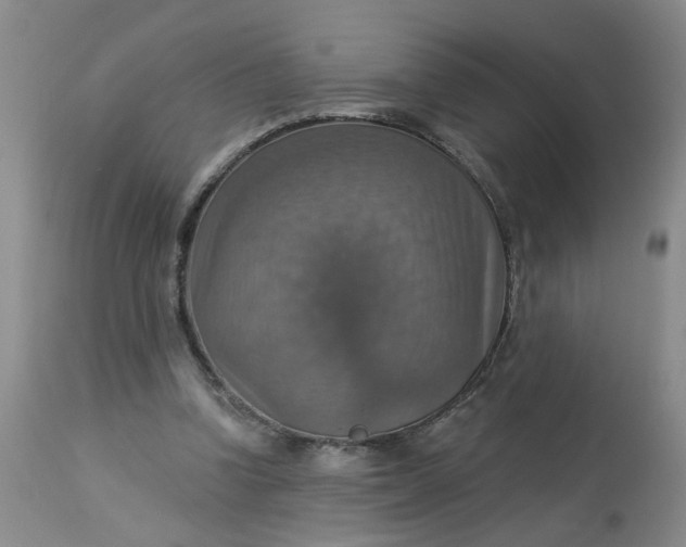 X0000113230346200910011415