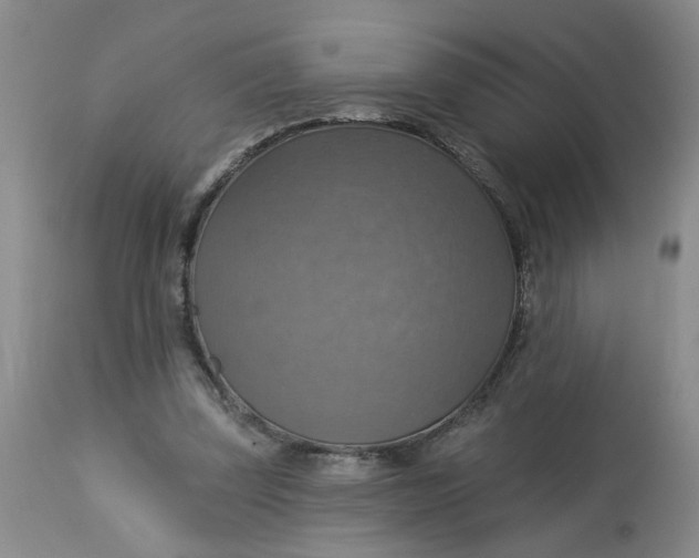 X0000113230347200910011415