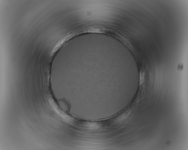 X0000113230349200910011415