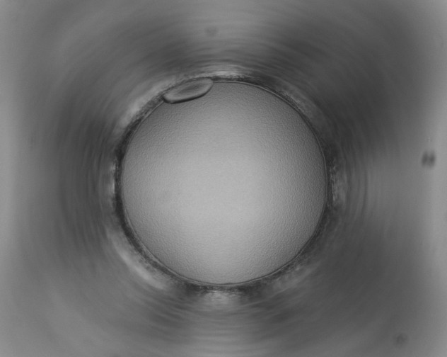 X0000113230350200910011415