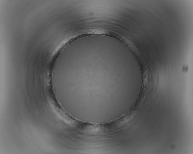 X0000113230351200910011415