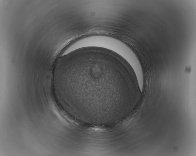 X0000113230352200910011415