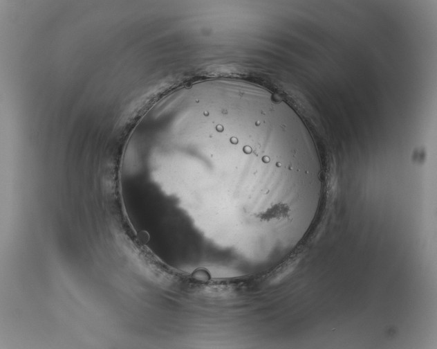 X0000113230353200910011415