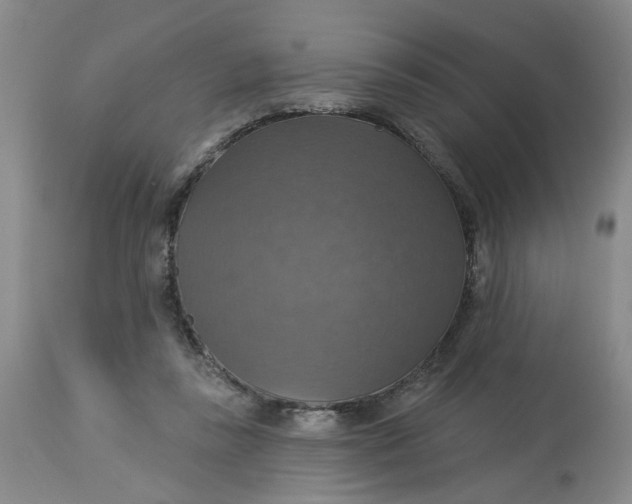 X0000113230355200910011415