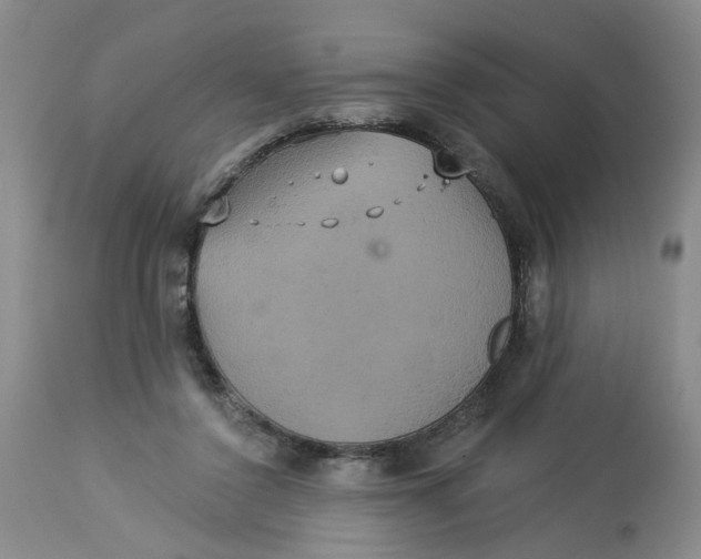 X0000113230356200910011415