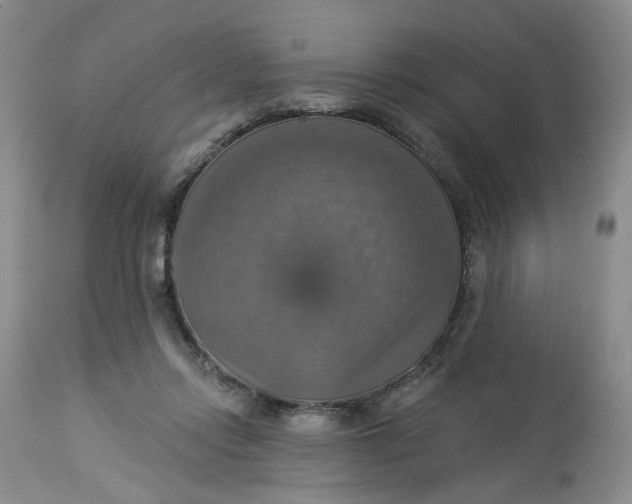 X0000113230358200910011415