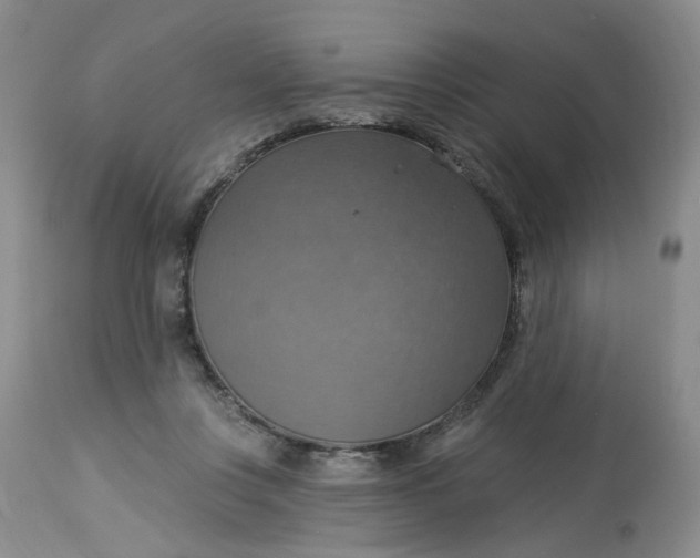 X0000113230359200910011415